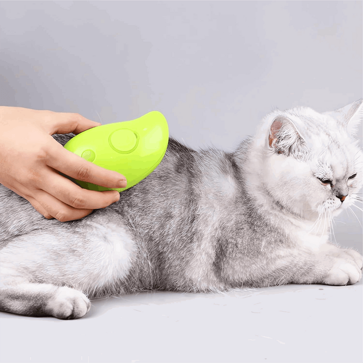 Cat Steam Brush