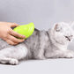 Cat Steam Brush